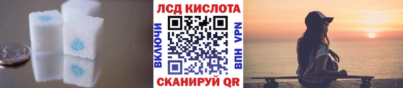 мега ссылки  магазин  наркотиков  Камышлов  Лсд 25 экстази ecstasy 